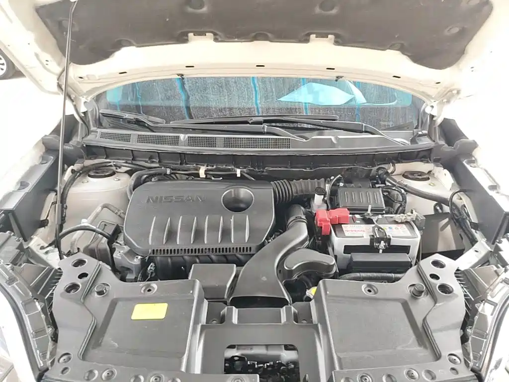 Venucia T60 2022 2020 1.6L CVT Zhi Xuan Edition China VI
