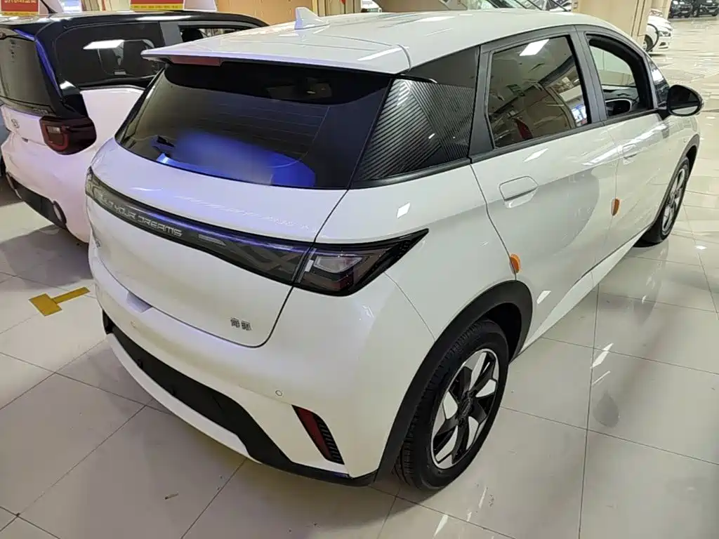 BYD Dolphin 2026 2025 420km Freedom Edition