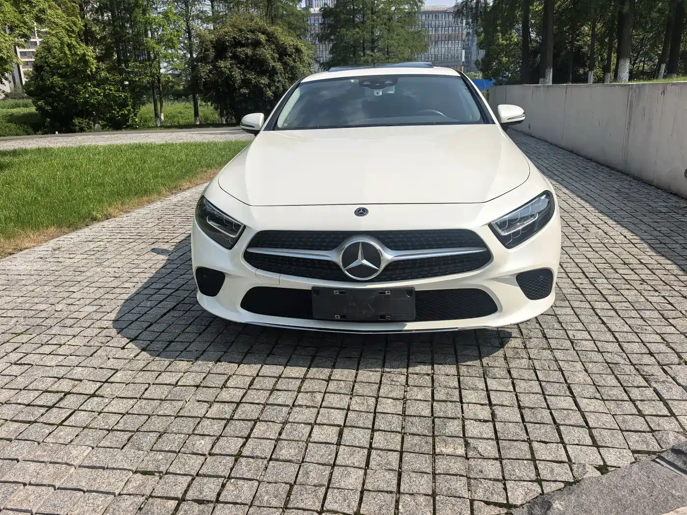 Mercedes-Benz CLS 2018 CLS 300 Dynamic фото 2