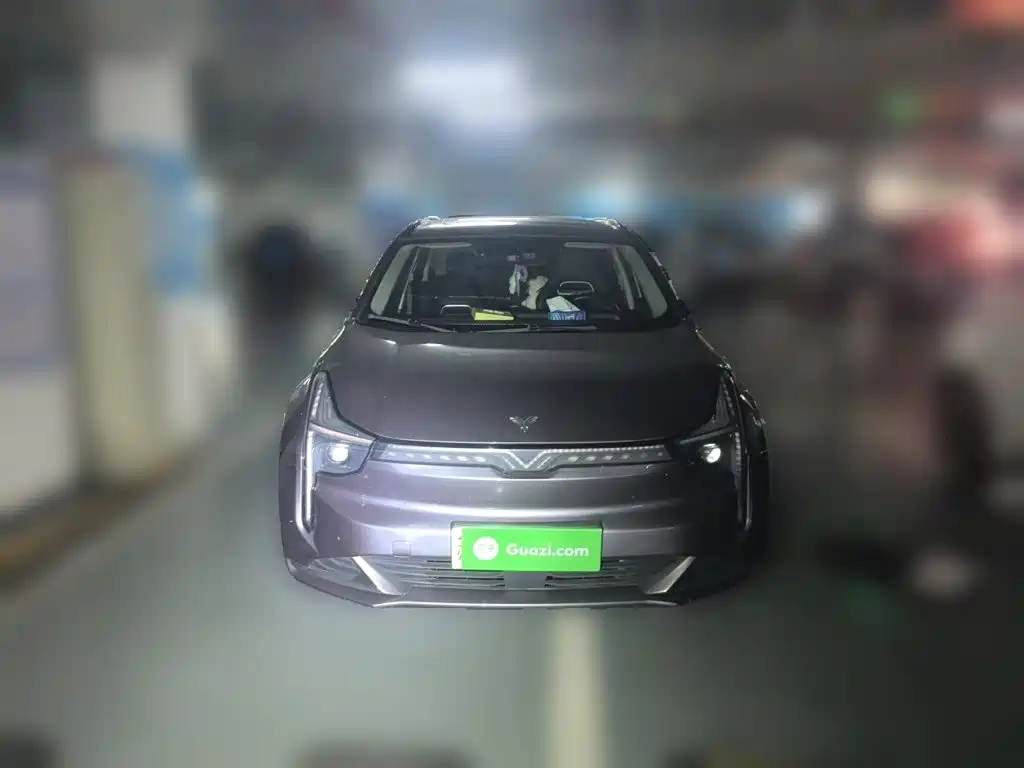 Nezha Auto Neta U 2023 2022 Neta U-Ⅱ 400 LFP