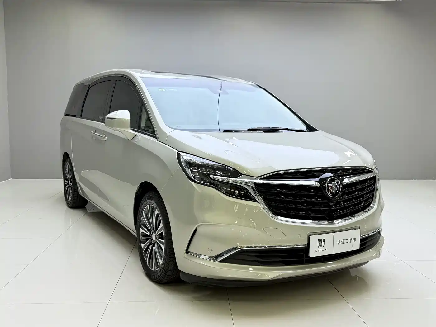 Buick GL8 2022 ES Landmark 653T Luxury фото 3