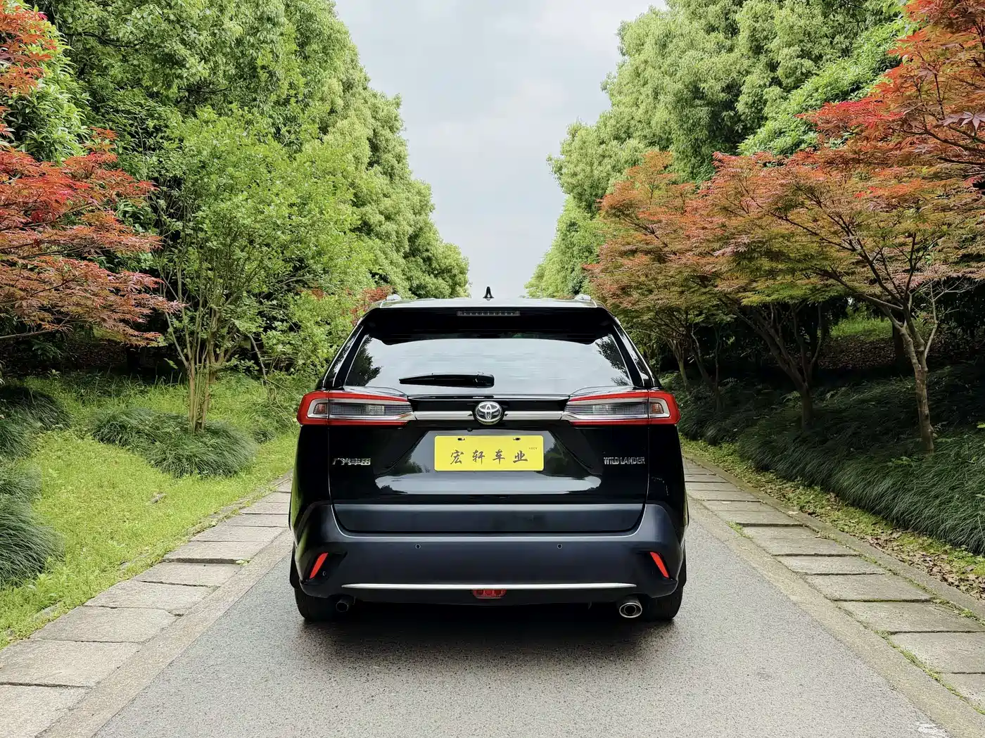 Toyota Wildlander 2023 2.0L CVT FWD Luxury PLUS фото 5