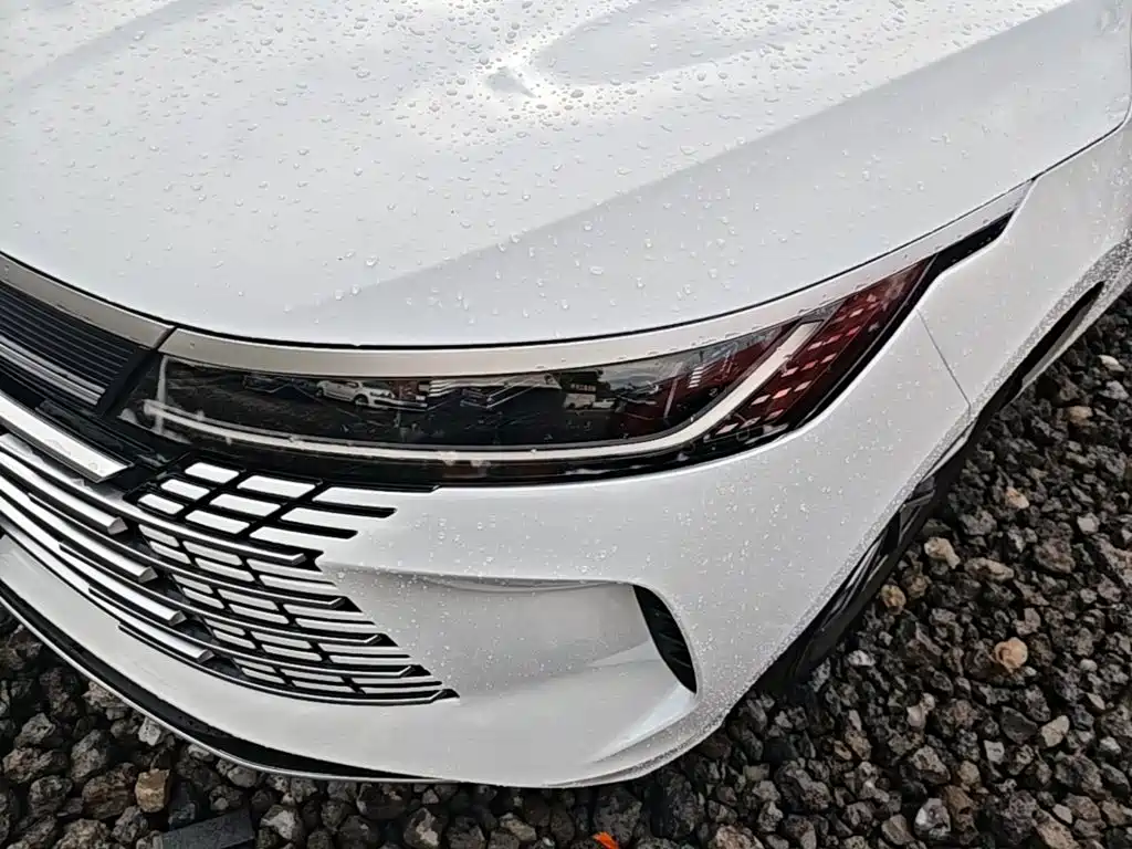 BYD Destroyer 05 2025 2024 Glory Edition DM-i 55KM Luxury