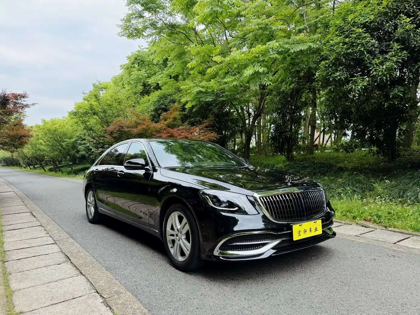 Mercedes-Benz S-Class 2016 S 320 L Luxury фото 16