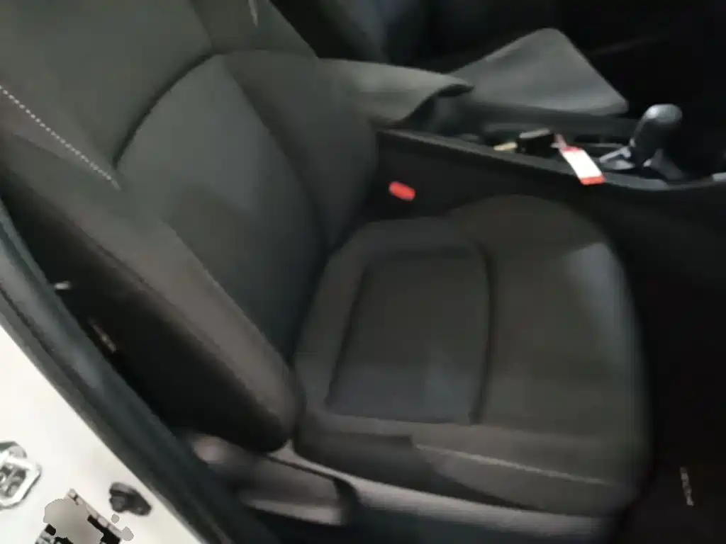Toyota IZOA 2021 2021 2.0L Yixiang Edition