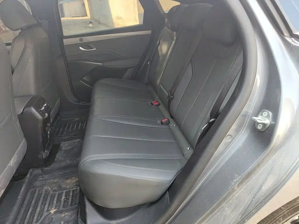 BYD Qin PLUS 2026 2026 EV Smart Drive Edition 510KM Progressive
