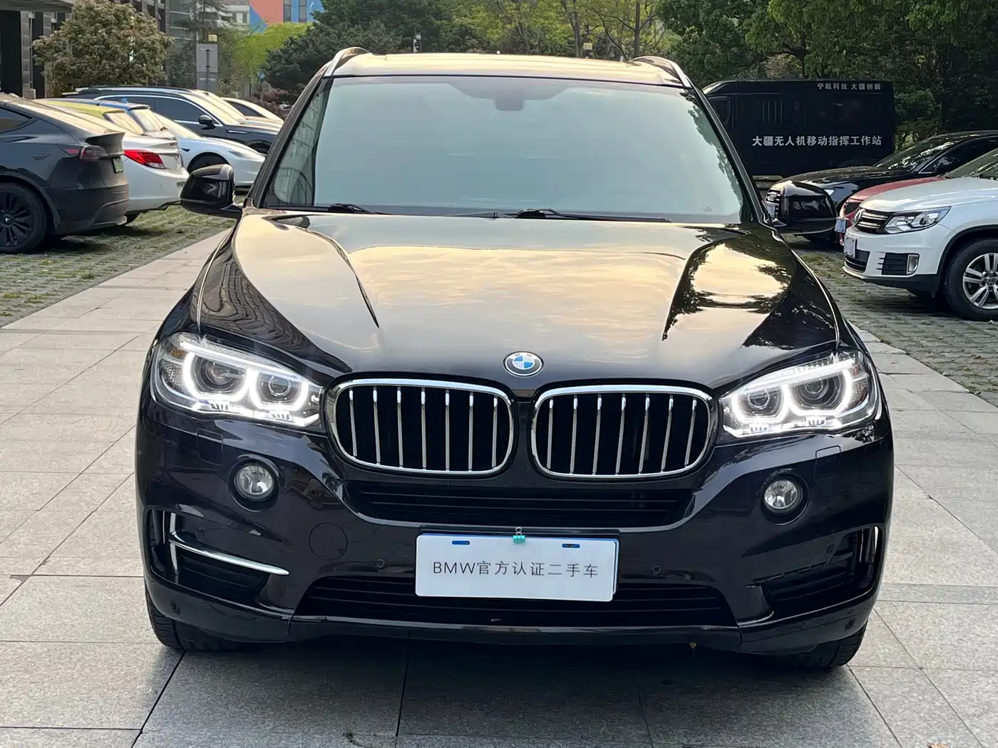 BMW X5 (Import) 2017 xDrive28i фото 15