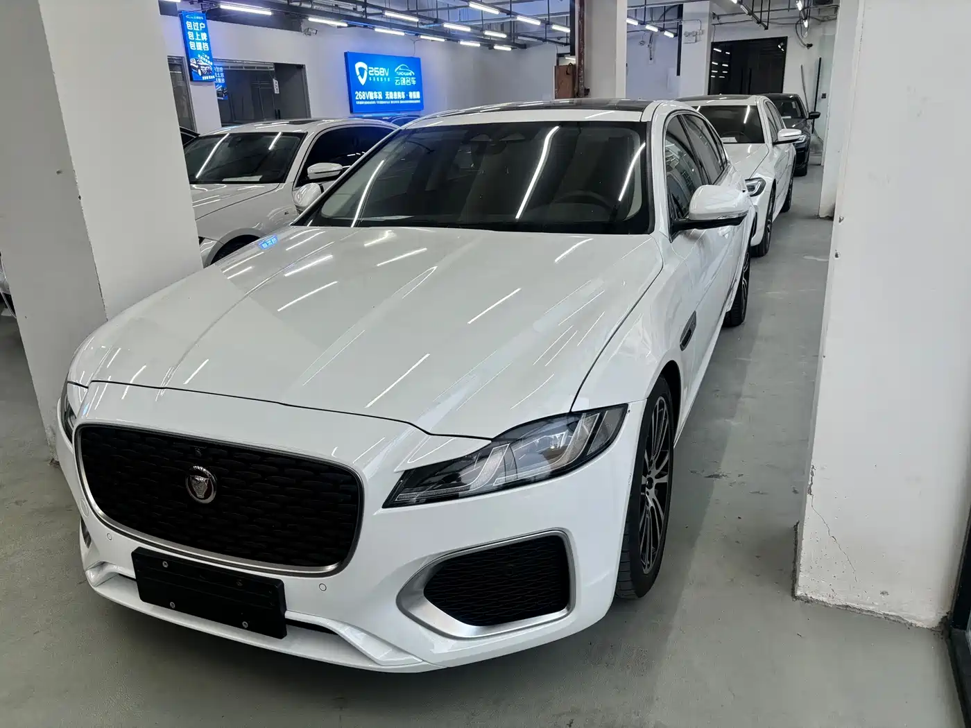 Фото 3 - Jaguar XFL