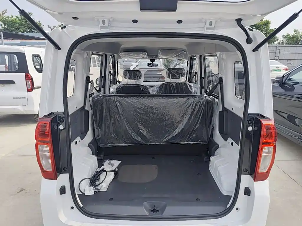 Wuling Motors Wuling Zhiguang NEV 2026 2025 Model 305km Base Version