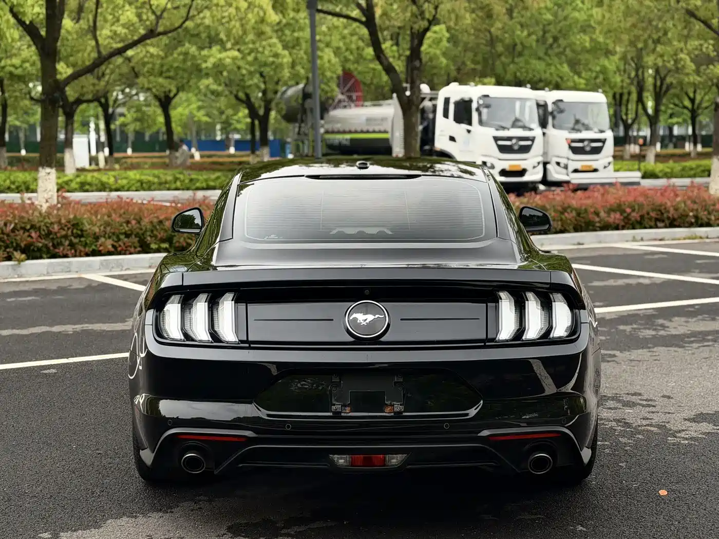 Ford Mustang 2019 2.3L EcoBoost фото 5