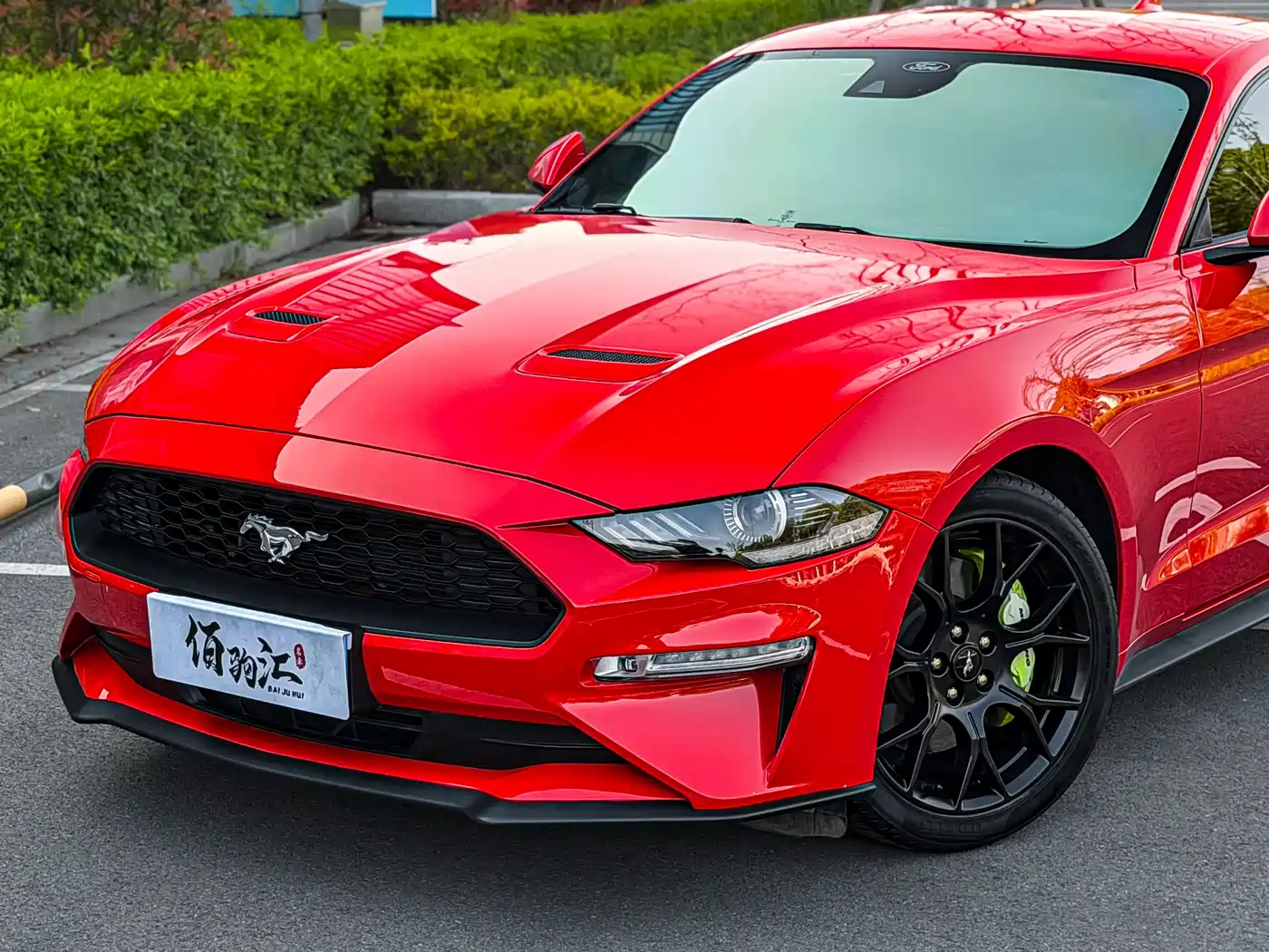 FORD MUSTANG