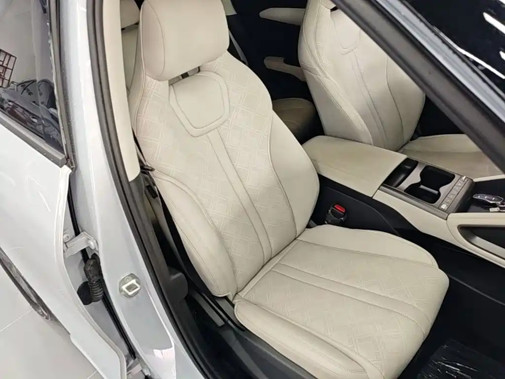 BYD Yuan UP 2026 2025 Model 301KM Navigator