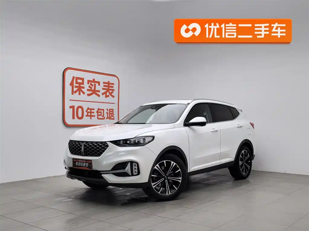 WEI PAI WEI BRAND VV6