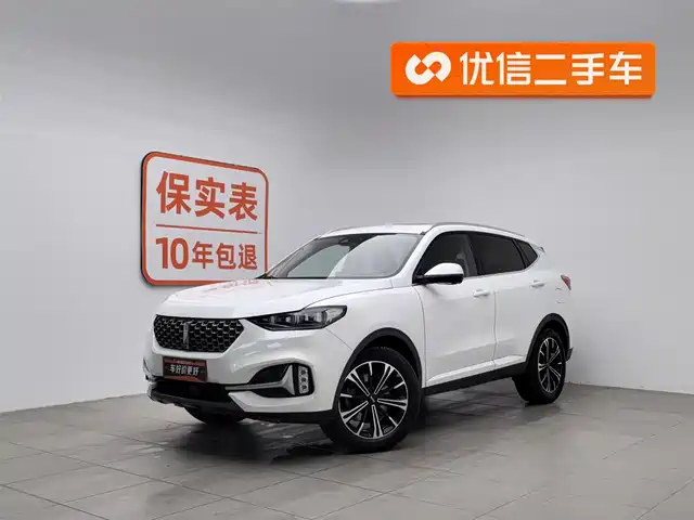 WEI PAI WEI BRAND VV6