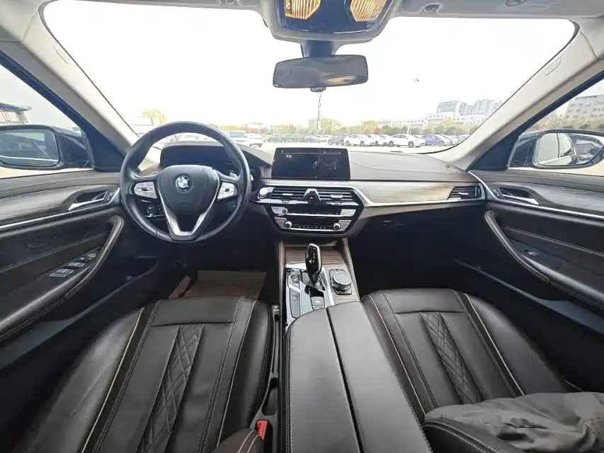 BMW 5 Series 2020 530Li xDrive Luxury Package фото 4