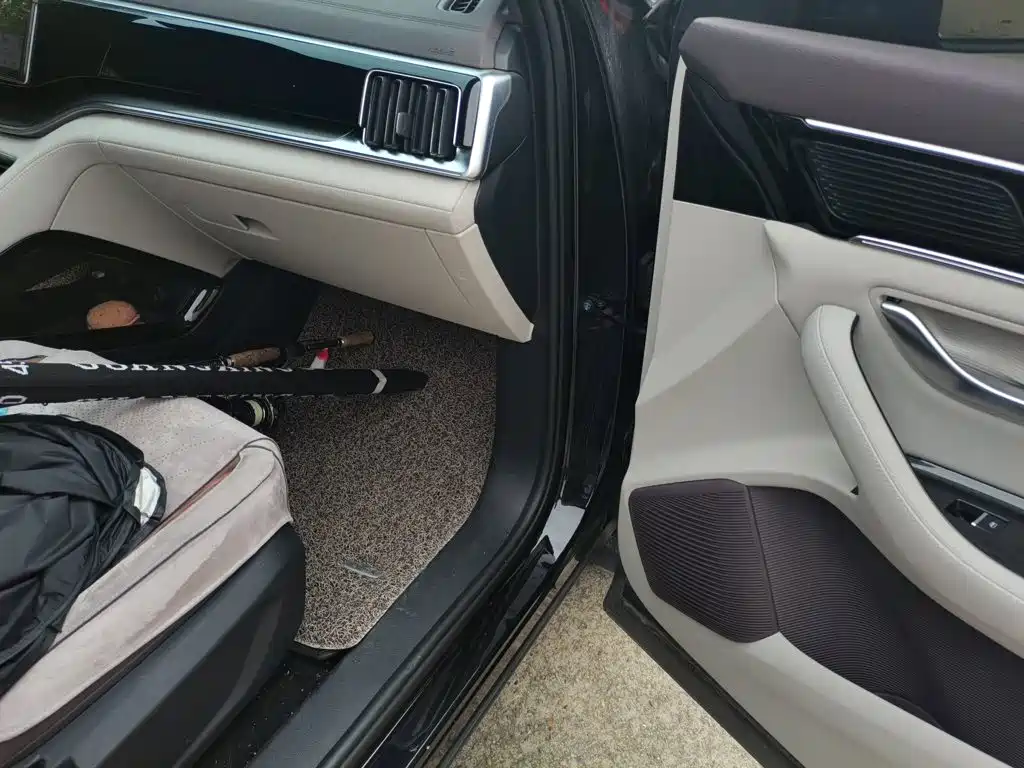 صورة 19 - BYD Song PLUS PHEV