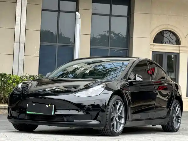 Tesla Model 3 2022 Model Rear-Wheel Drive Version