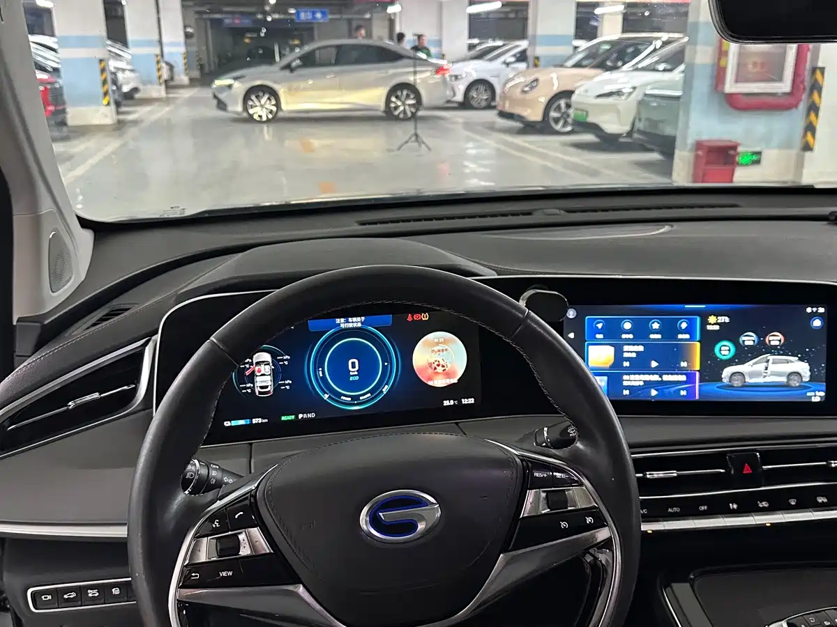 Aion LX 2020 2019 Model 80