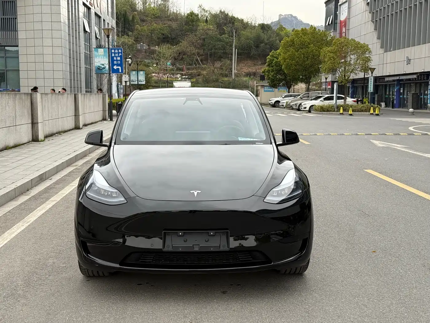 TESLA MODEL Y