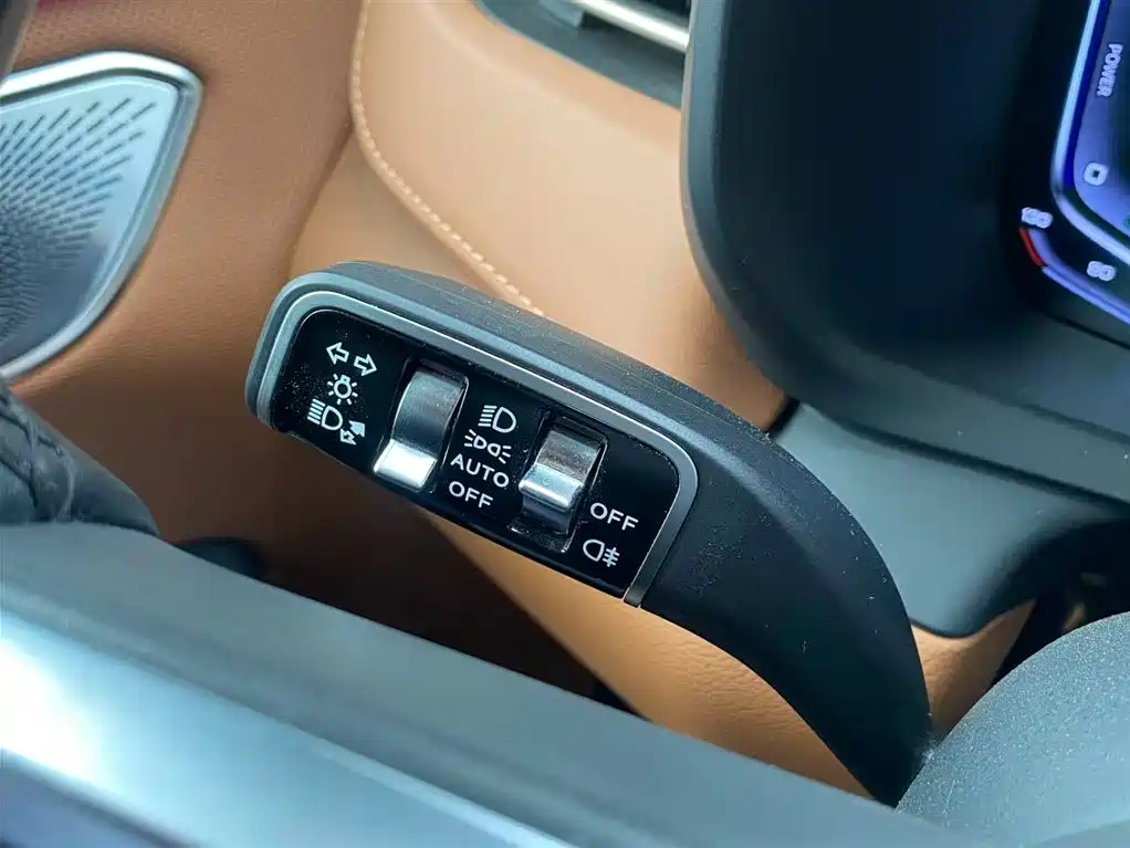 Hongqi HQ9 PHEV 2024 Model 2.0T AWD Luxury Edition фото 21