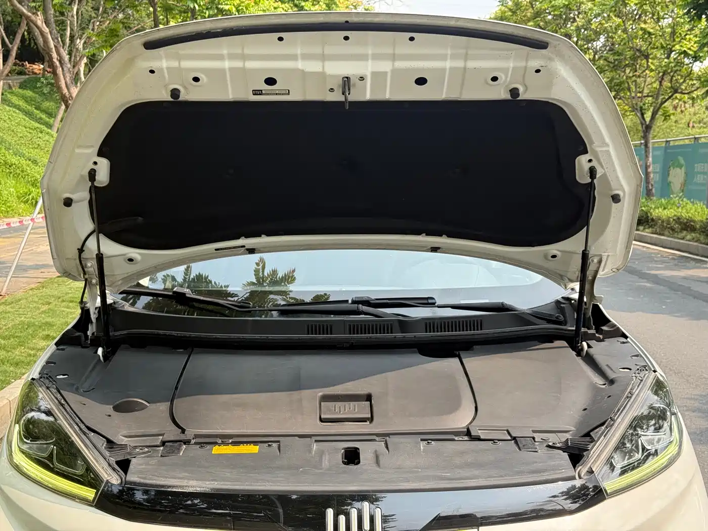 WEIMA AUTOMOBILE WEIMA EX5
