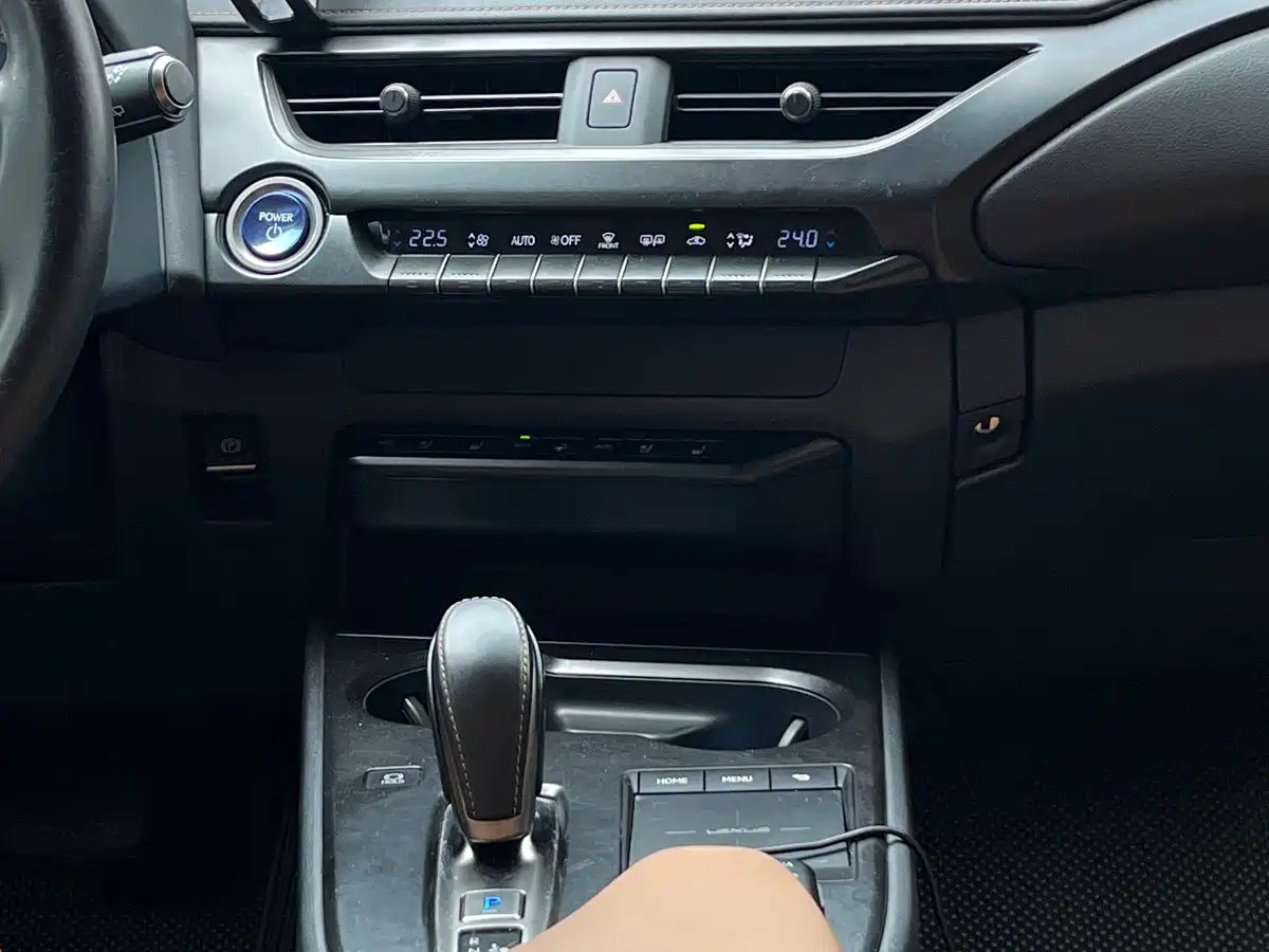 Lexus UX Electric 2021 2020 300e Pure Yue Edition