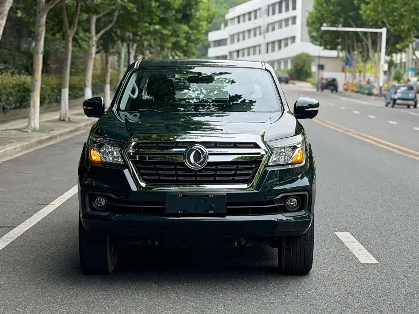 2024 Dongfeng Rich 6 Pro