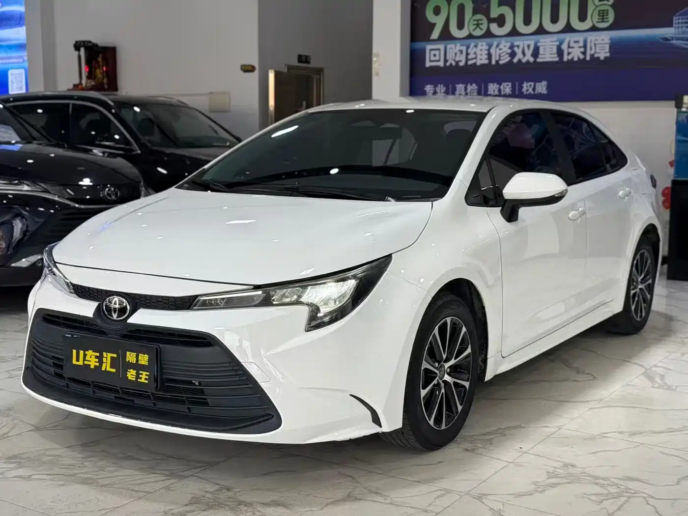 TOYOTA LEI LING 2024