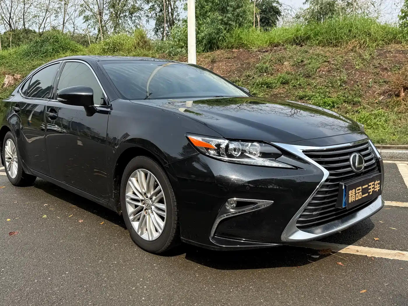 Lexus ES 2017 200 30th Anniversary Edition фото 2