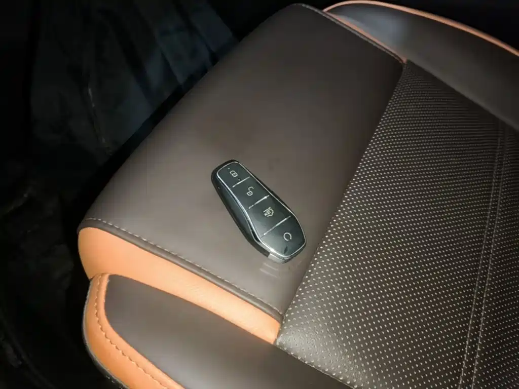 BYD e2 2021 2021 Luxury Edition