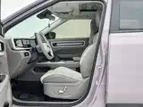 Фото 7 - Geely ICON