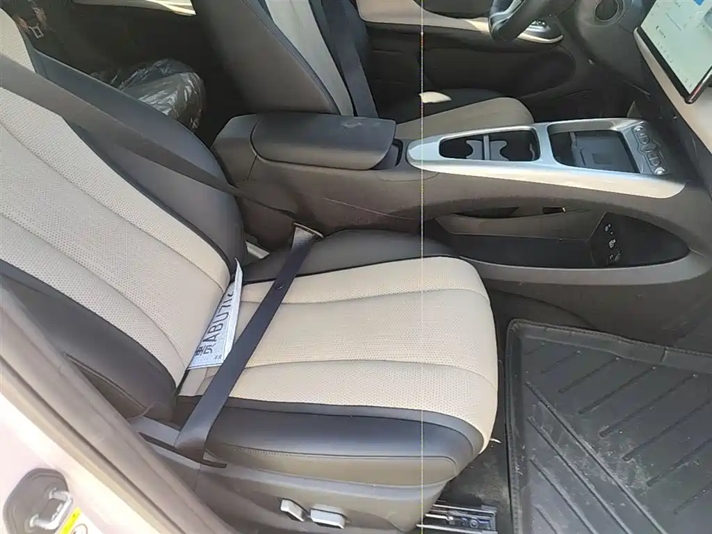 BYD Dolphin 2025 Smart Drive Edition 410km Fashion Version фото 25