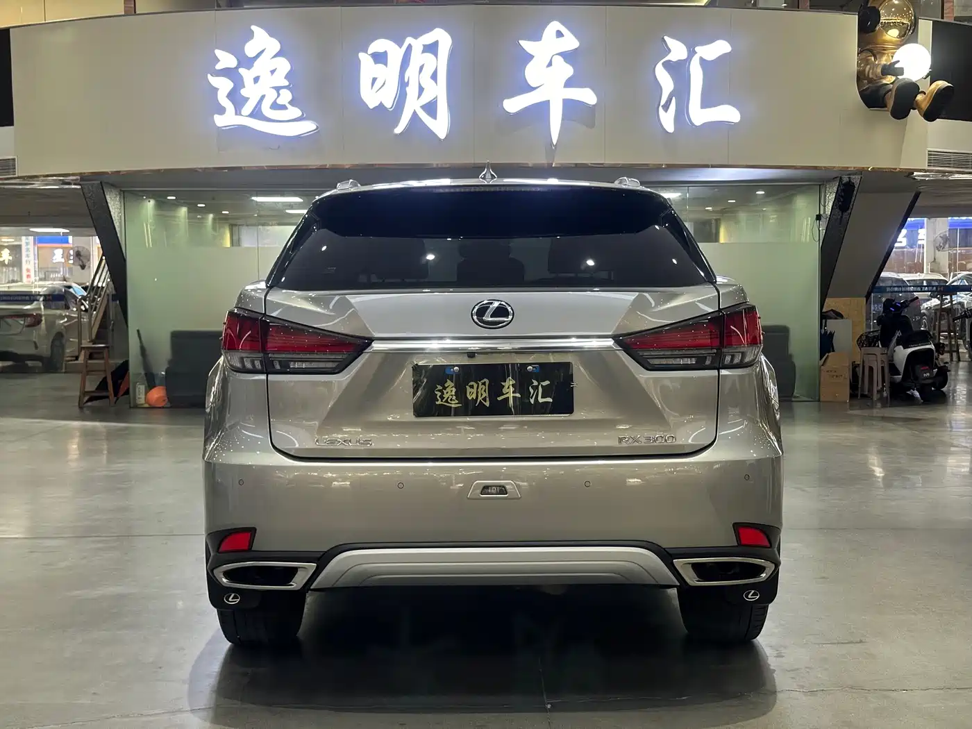 Lexus RX 2020 300 4WD Elegance Edition China VI фото 12