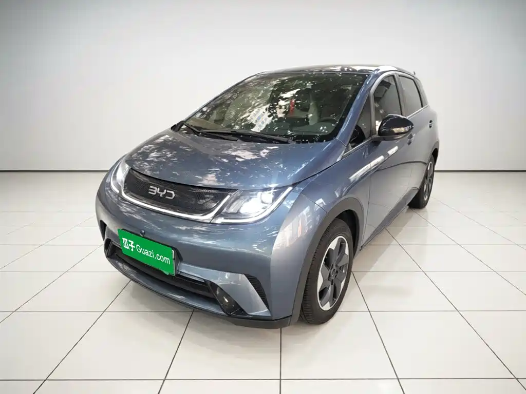 Фото 1 - BYD Dolphin