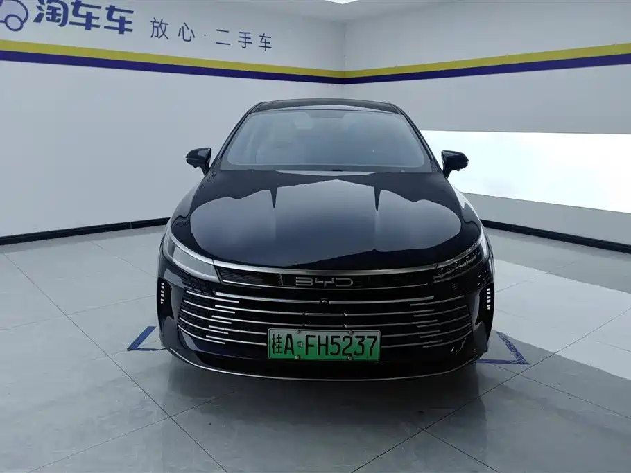 BYD Destroyer 05 2024 Glory Edition DM-i 55KM Luxury фото 2