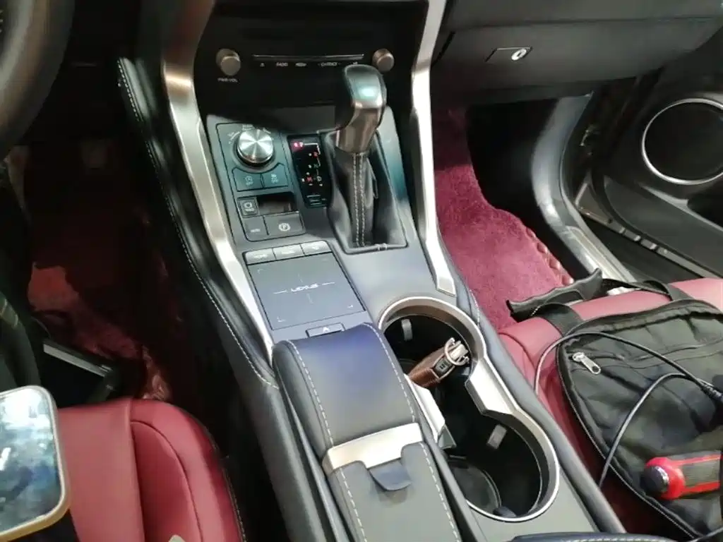 Lexus NX 2020 200 AWD F Sport China VI фото 14