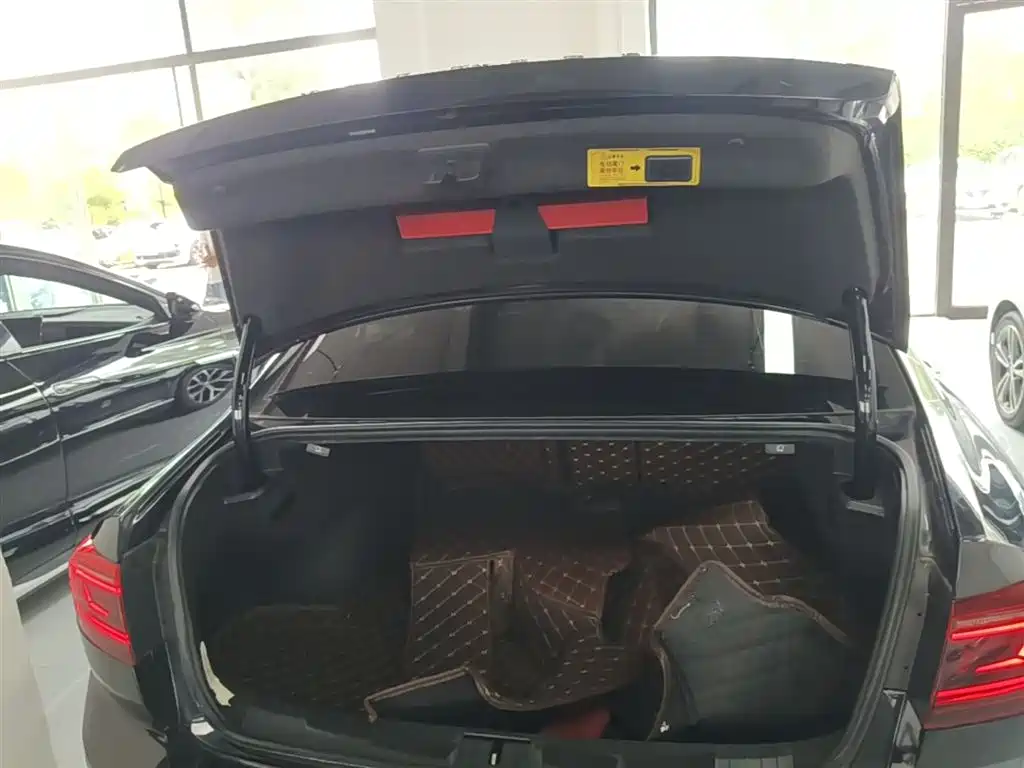 Volkswagen Magotan 2020 330TSI DSG Leading фото 19