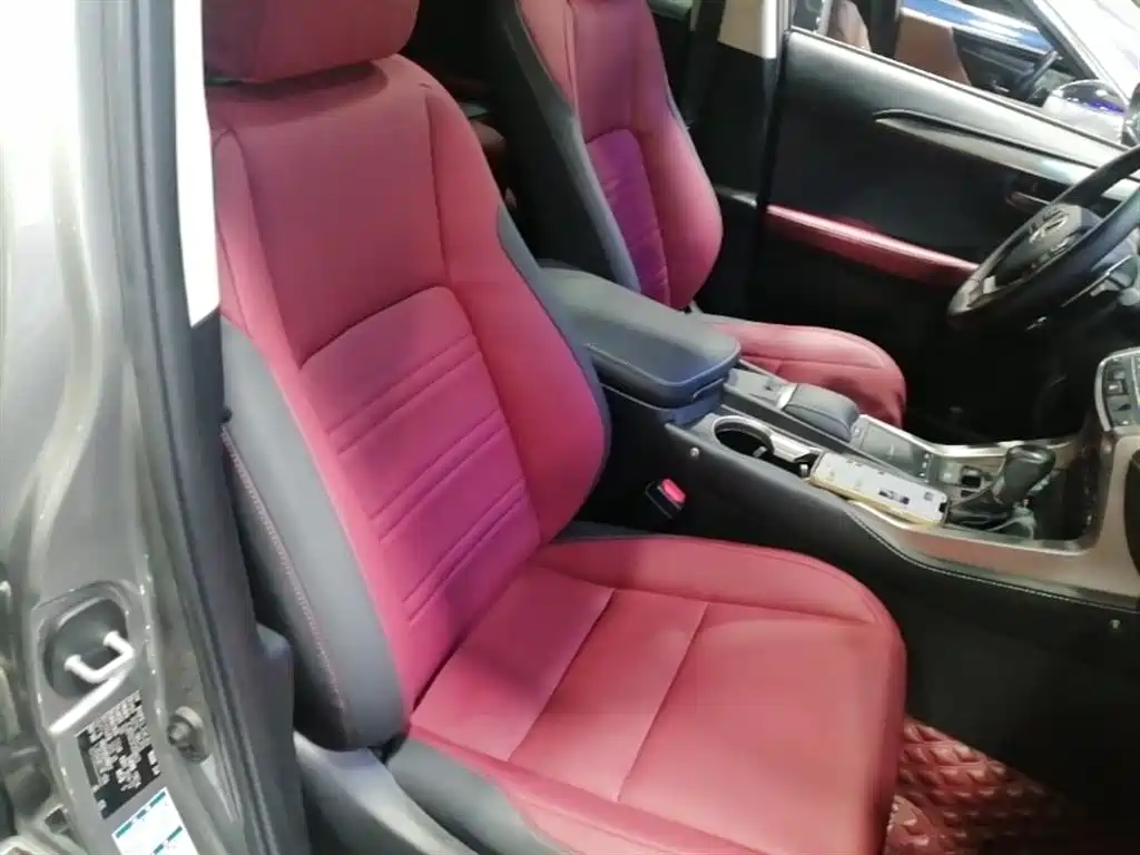 Lexus NX 2020 200 AWD F Sport China VI фото 25
