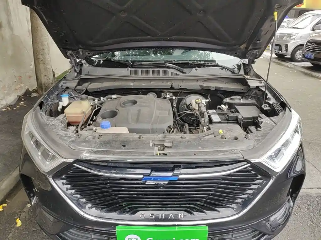 Changan Oshan X7 2020 2020 1.5T Auto Premium