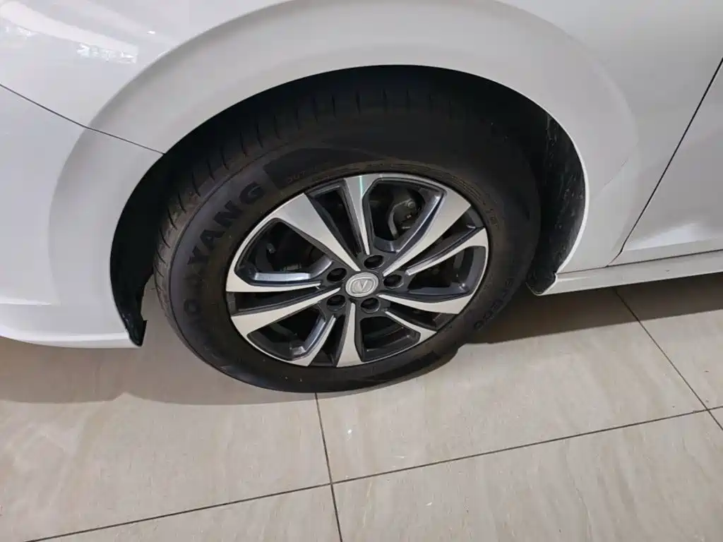 Photo 23 - Changan Eado