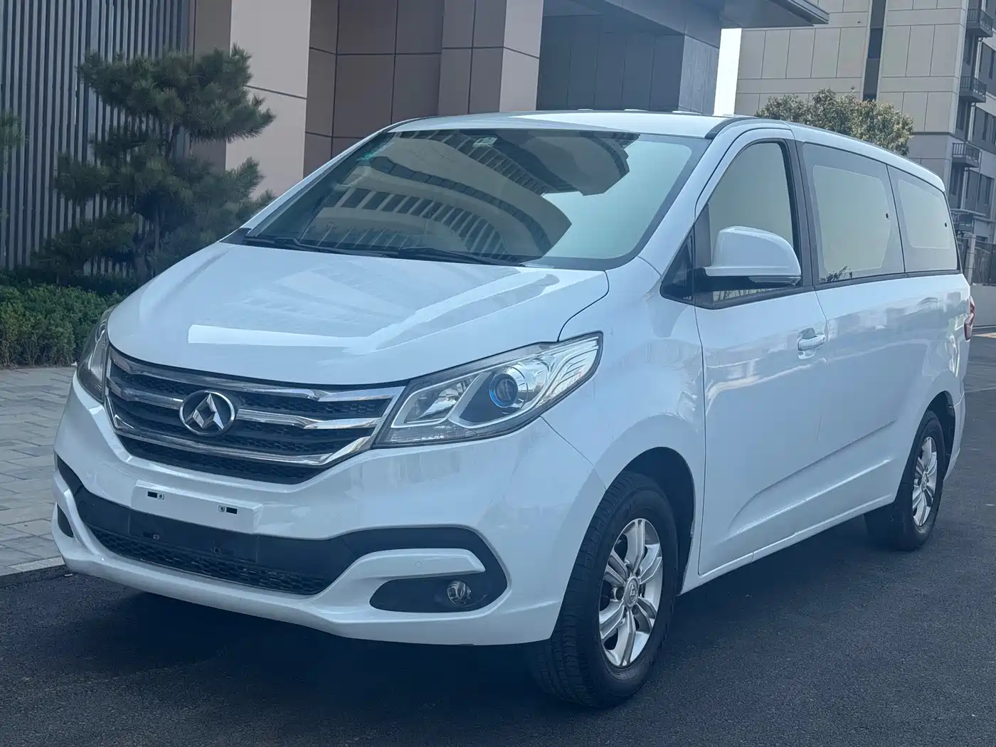 Фото 1 - Maxus G10