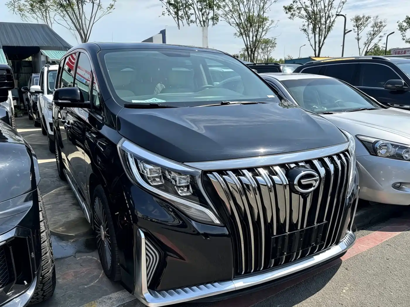 GAC Trumpchi Trumpchi M8 2021 Facelift Leading Series 390T Luxury Edition фото 3