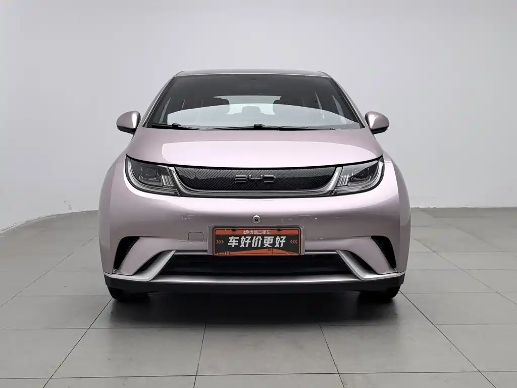 Фото 3 - BYD Dolphin