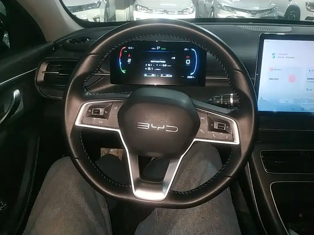 BYD Destroyer 05 2024 Glory Edition DM-i 55KM Luxury фото 11