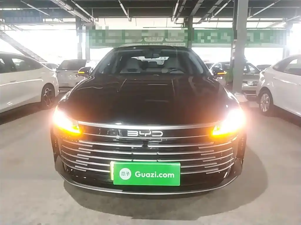 BYD Destroyer 05 2024 Glory Edition DM-i 55KM Luxury фото 3