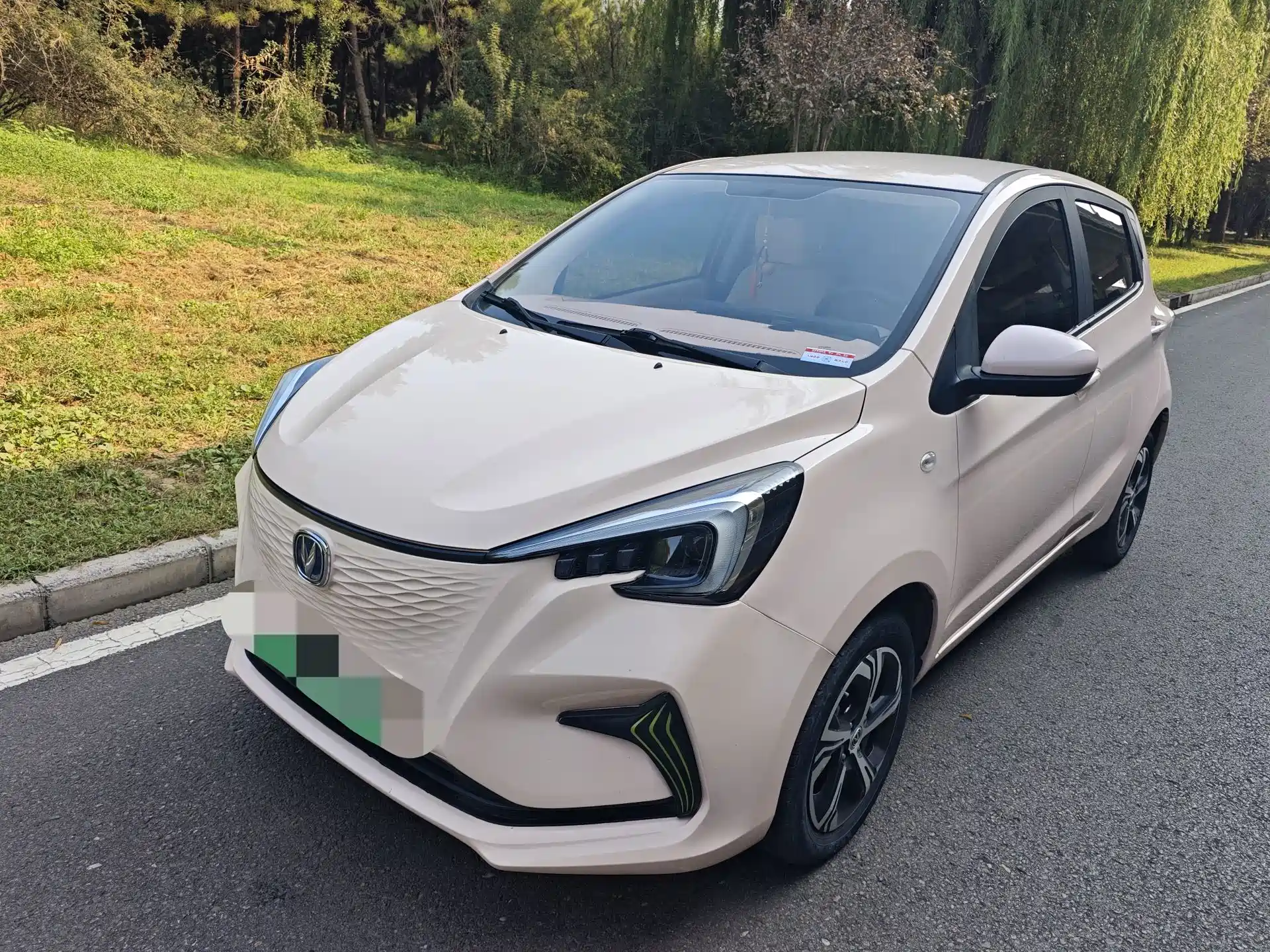 Photo 1 - Changan Benben E-Star