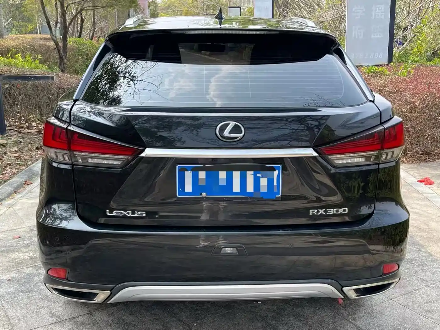 LEXUS RX
