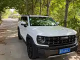 Photo 3 - Haval Cool Dog