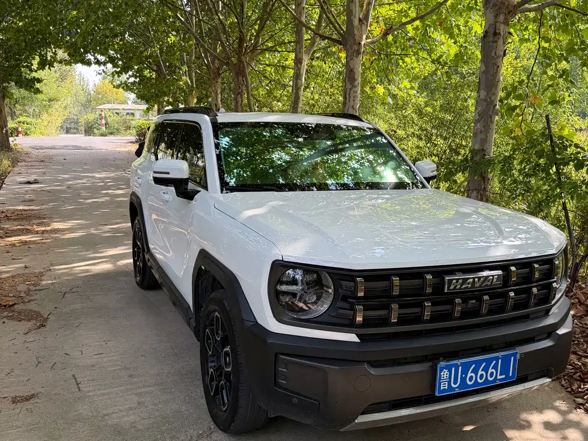 Photo 3 - Haval Cool Dog