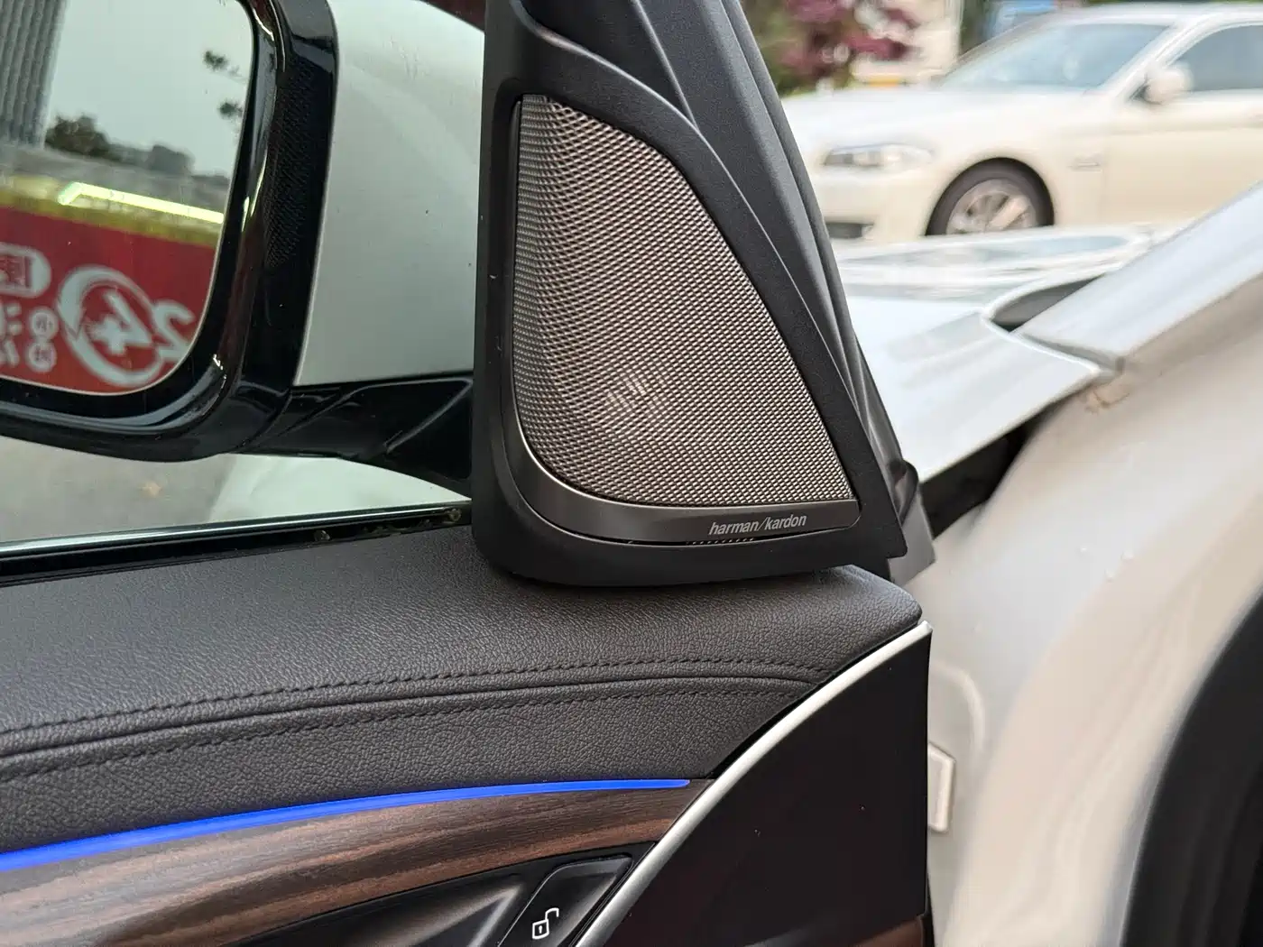 BMW 5 Series 2019 530Li Leading Luxury Package фото 7